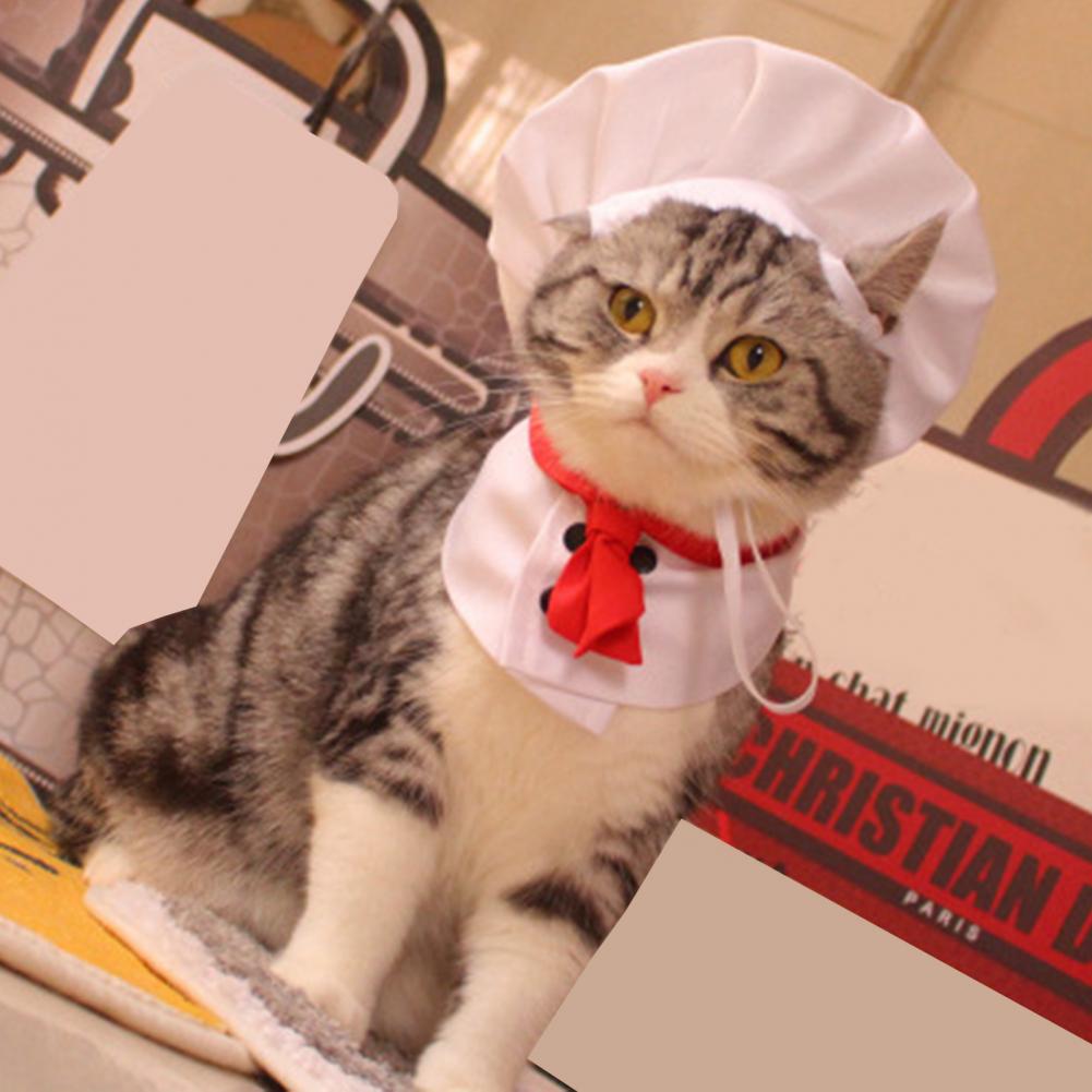 MasterPaw Chef Hat