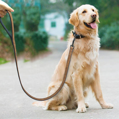PawStride Premium Dog Leash