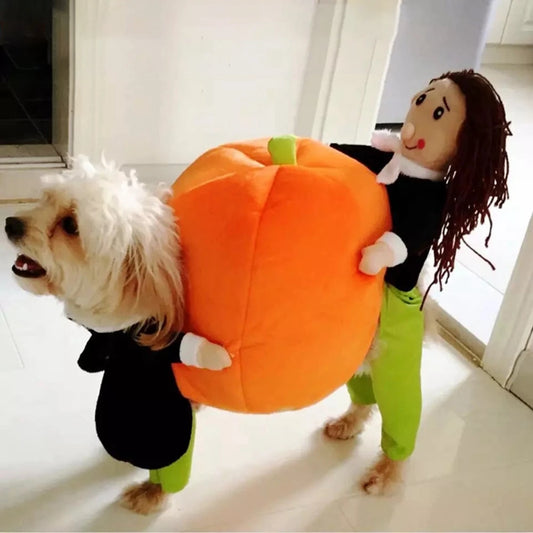 Pumpkin Carriers Costume
