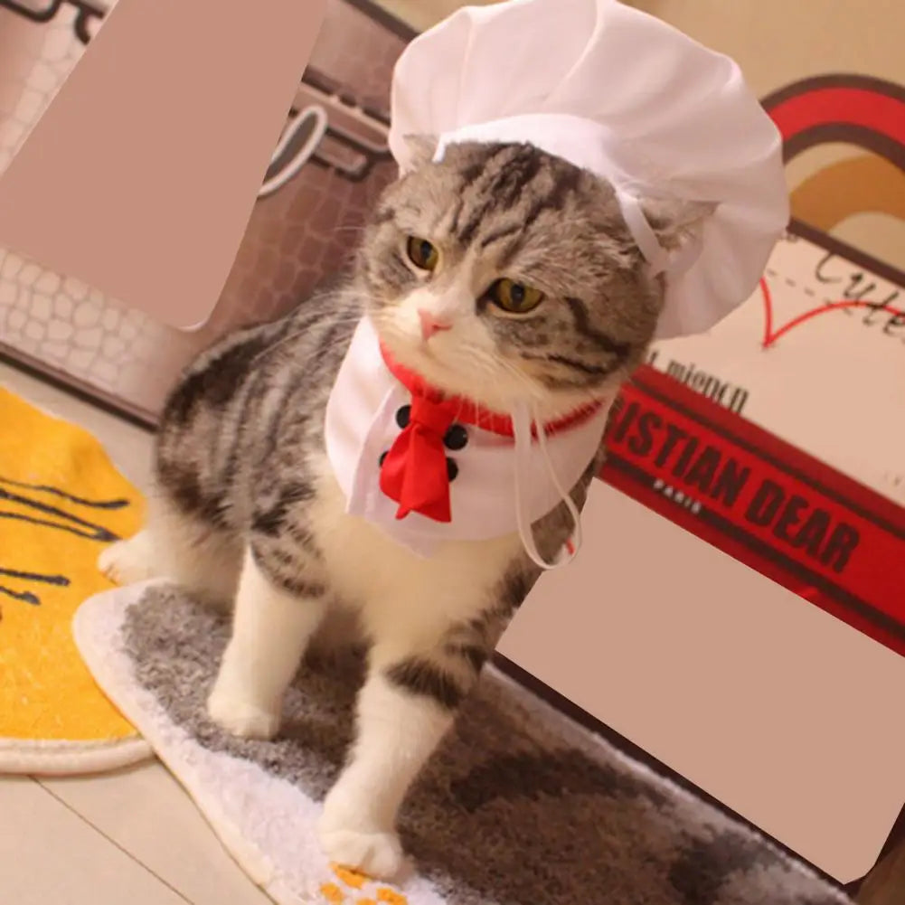 MasterPaw Chef Hat