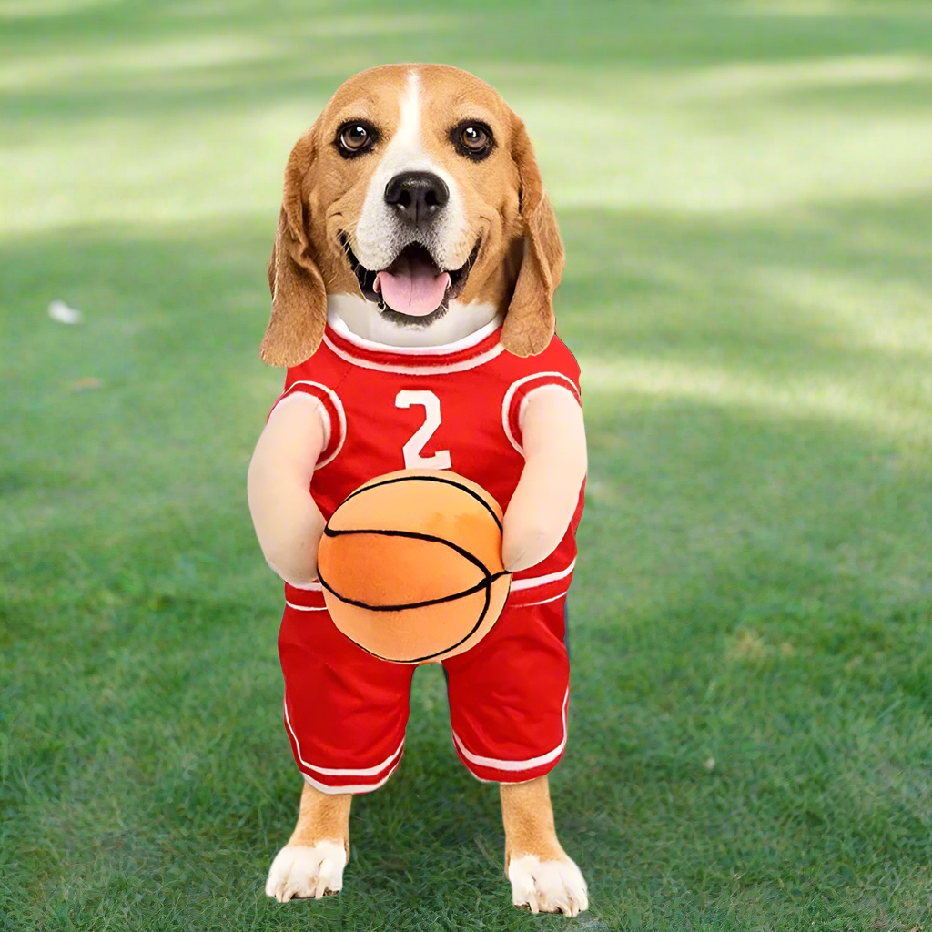 All-Star Dog Costume