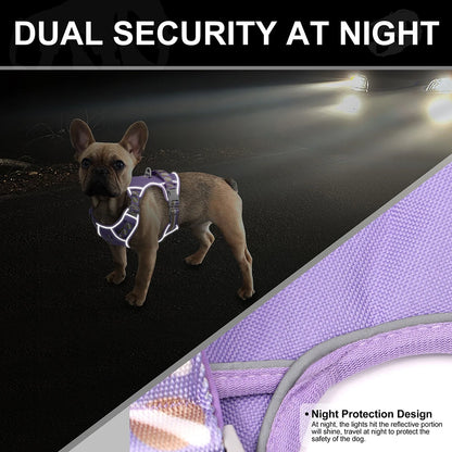 LuminaElite Reflective Dog Harness & Leash Set