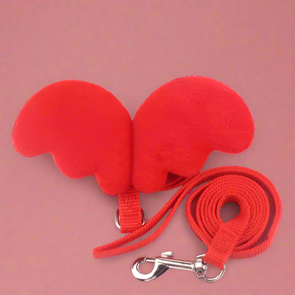 Angel Wings Harness & Leash Set