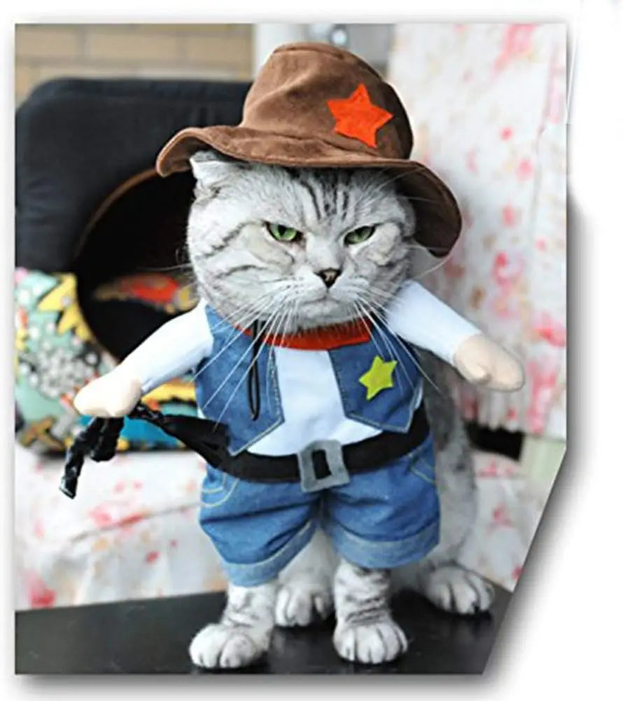WildWhiskers Cat Cowboy Costume