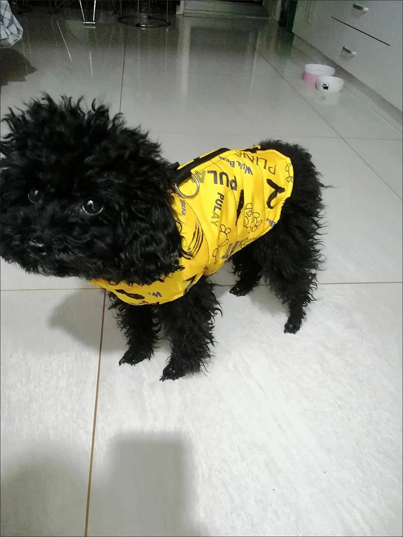 Trailblazer Waterproof Jacket