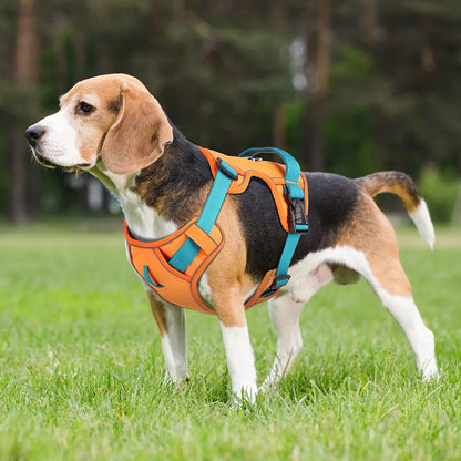 AirFlex Mesh Reflective Dog Harness