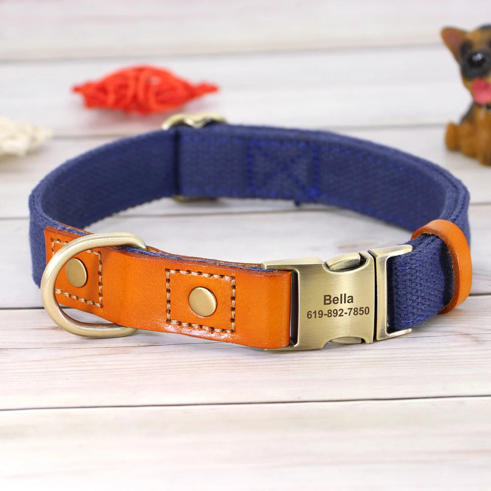 TailorFit Personalized Dog Collar