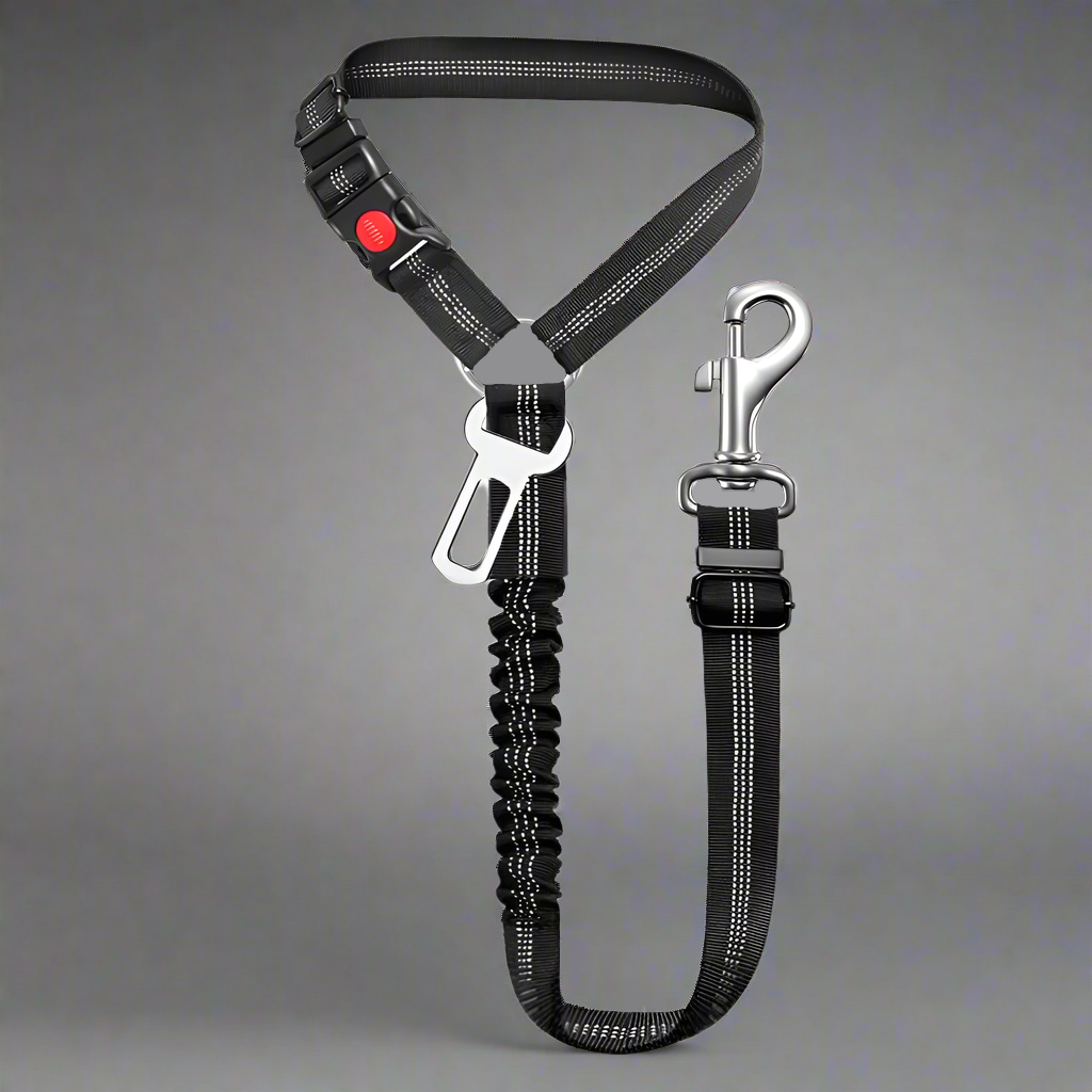 SafePawRide Leash