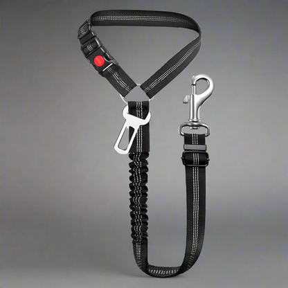 SafePawRide Leash