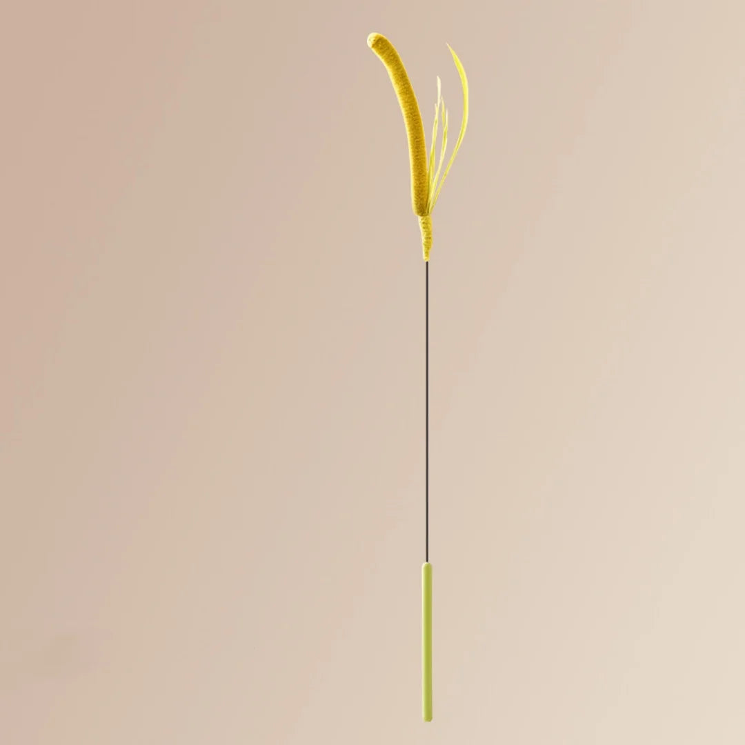 Kimpets Feather Teaser