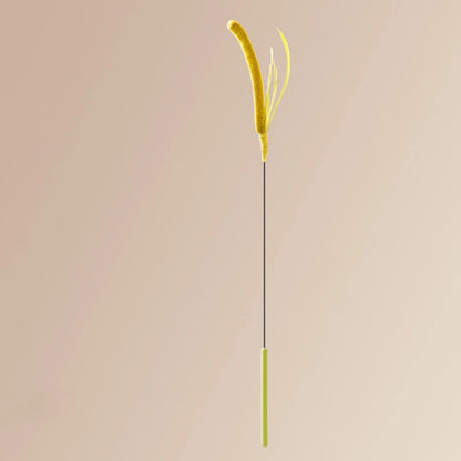 Kimpets Feather Teaser