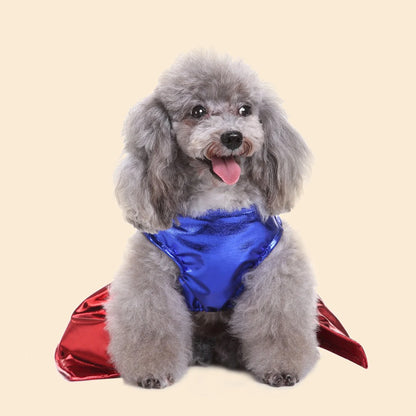 The SuperPaw Costume