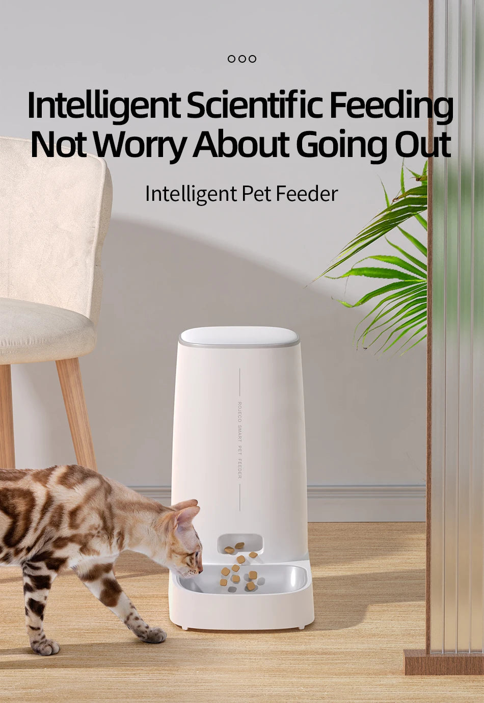 ROJECO The Automatic Pet Feeder