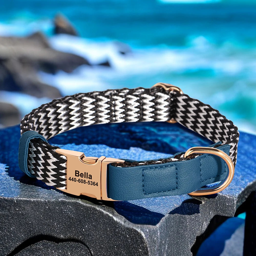 EliteTag Custom Nylon Dog Collar