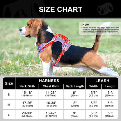 LuminaElite Reflective Dog Harness & Leash Set