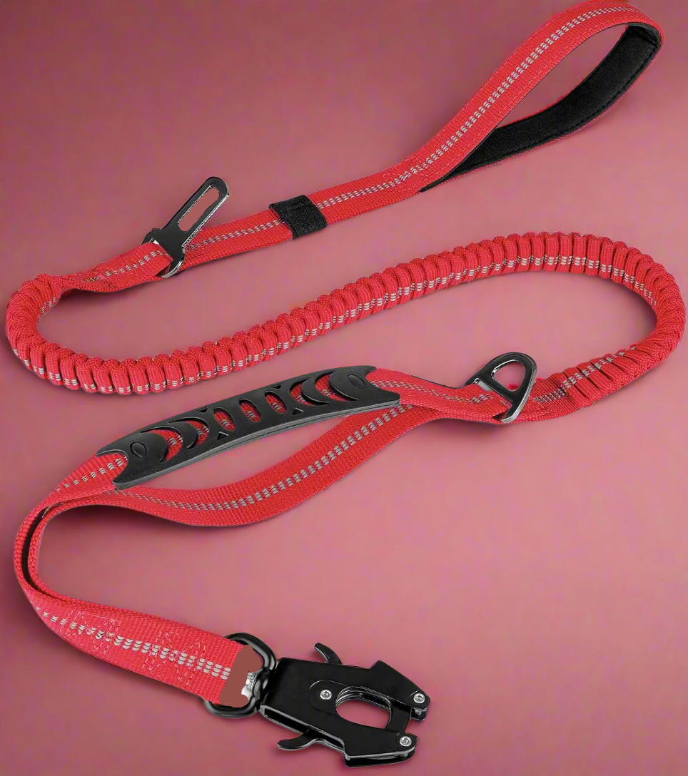 PowerPaw Heavy-Duty Leash