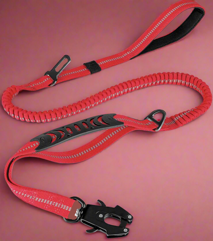 PowerPaw Heavy-Duty Leash