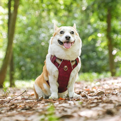 PawGuard Harness