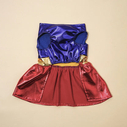 The SuperPaw Costume