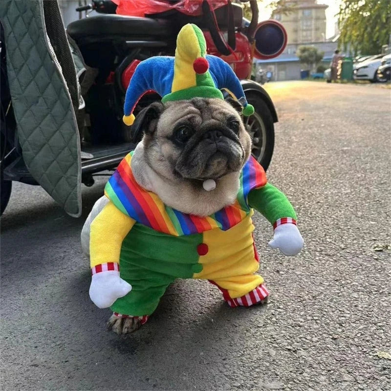 Paw Party Clown Costume