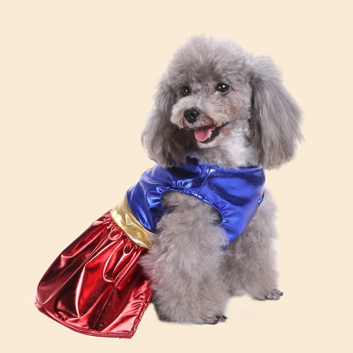The SuperPaw Costume