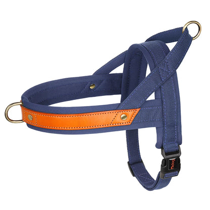 PawFit Nylon Collar, Harness & Leash Set