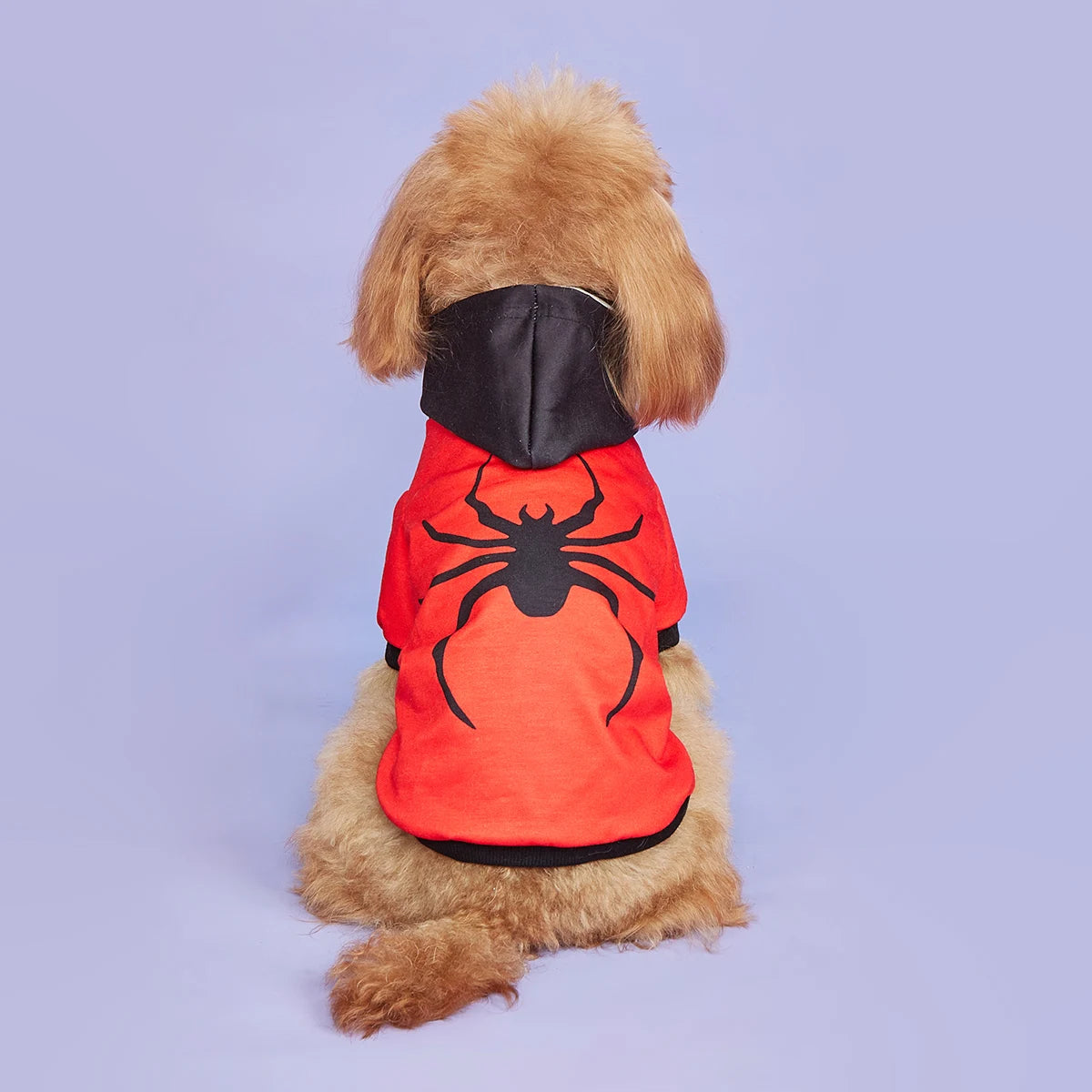 Spider Paw Costume