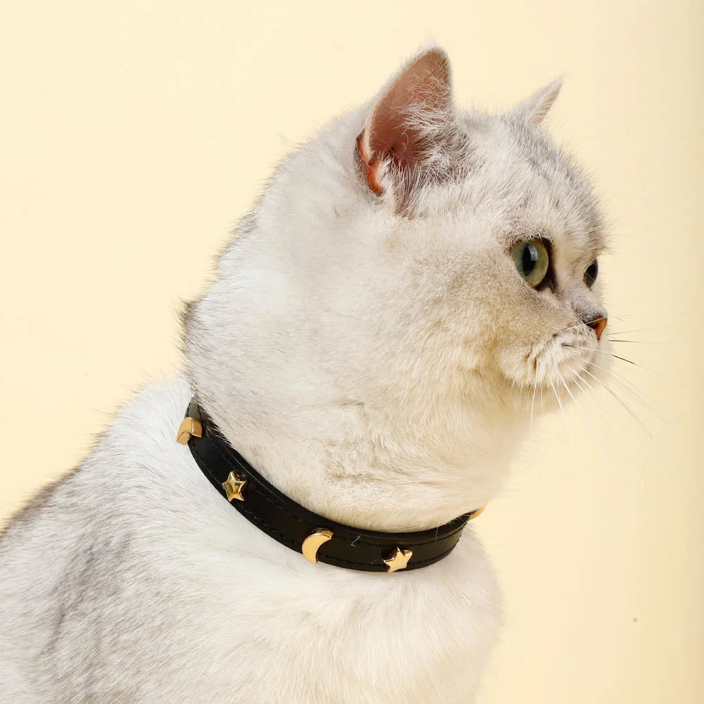 StarryPaws Collar