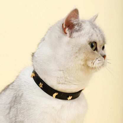 StarryPaws Collar