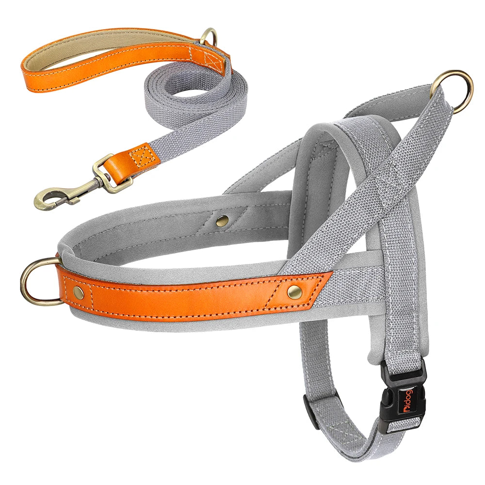 PawFit Nylon Collar, Harness & Leash Set