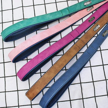 PawStride Premium Dog Leash