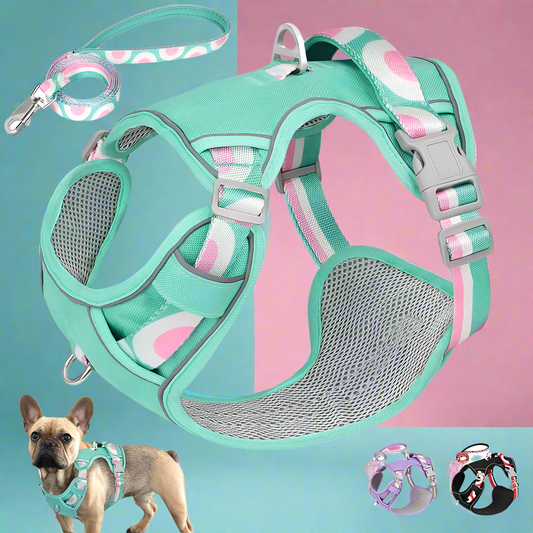 LuminaElite Reflective Dog Harness & Leash Set