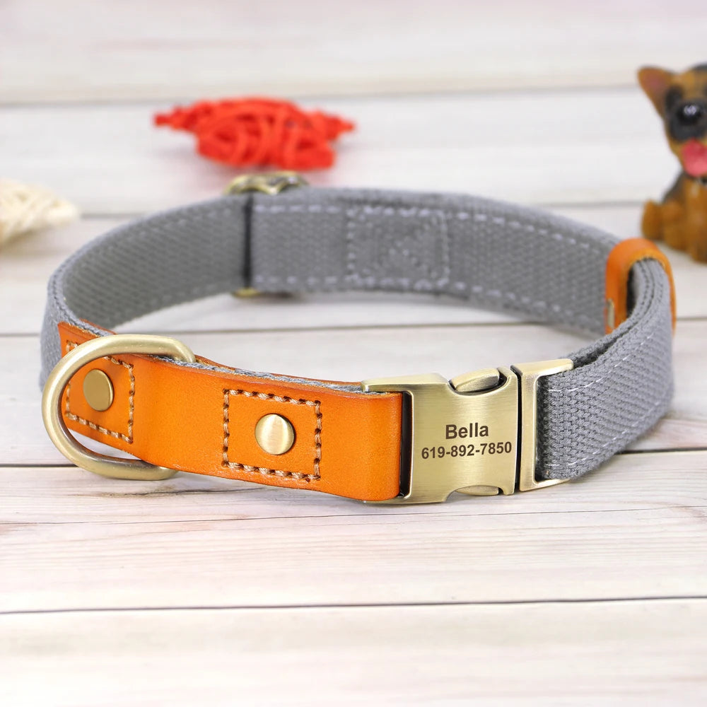 TailorFit Personalized Dog Collar