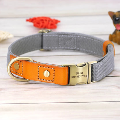 TailorFit Personalized Dog Collar