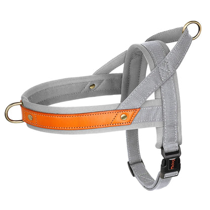 PawFit Nylon Collar, Harness & Leash Set