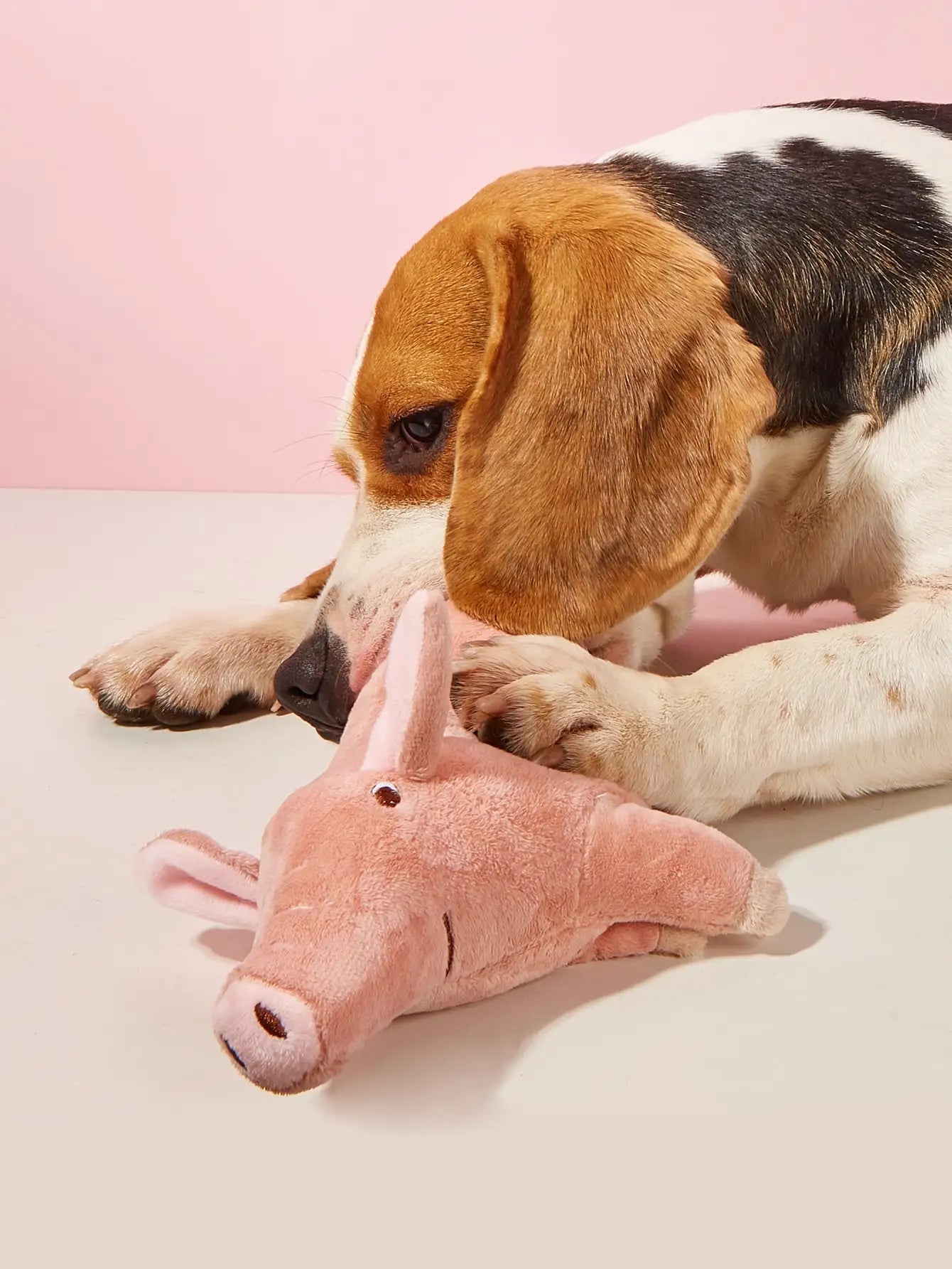 PiggyChomp Plush Toy