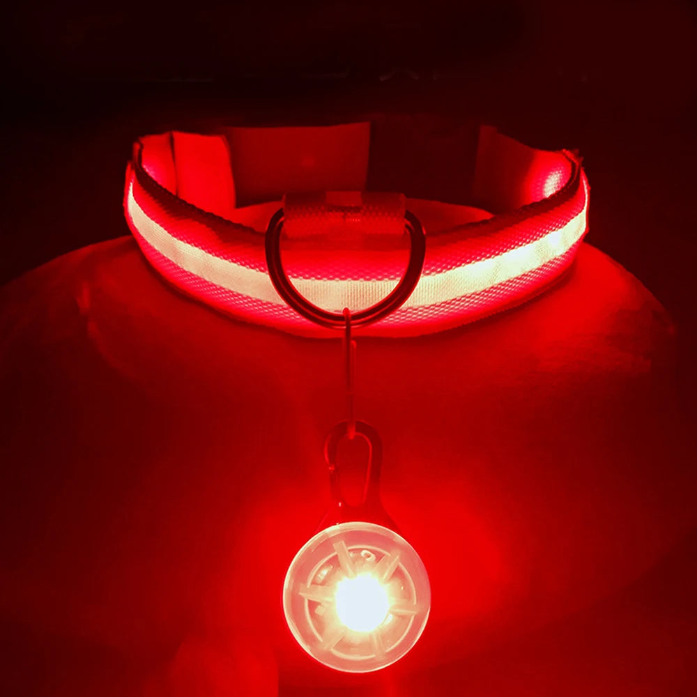 GlowGuard LED Collar