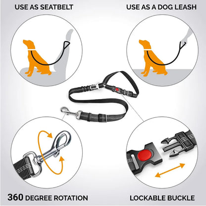 SafePawRide Leash