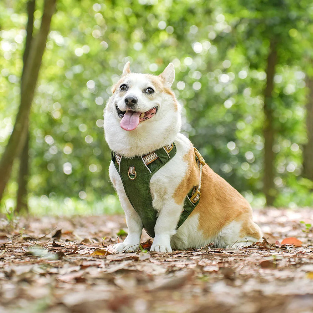 PawGuard Harness