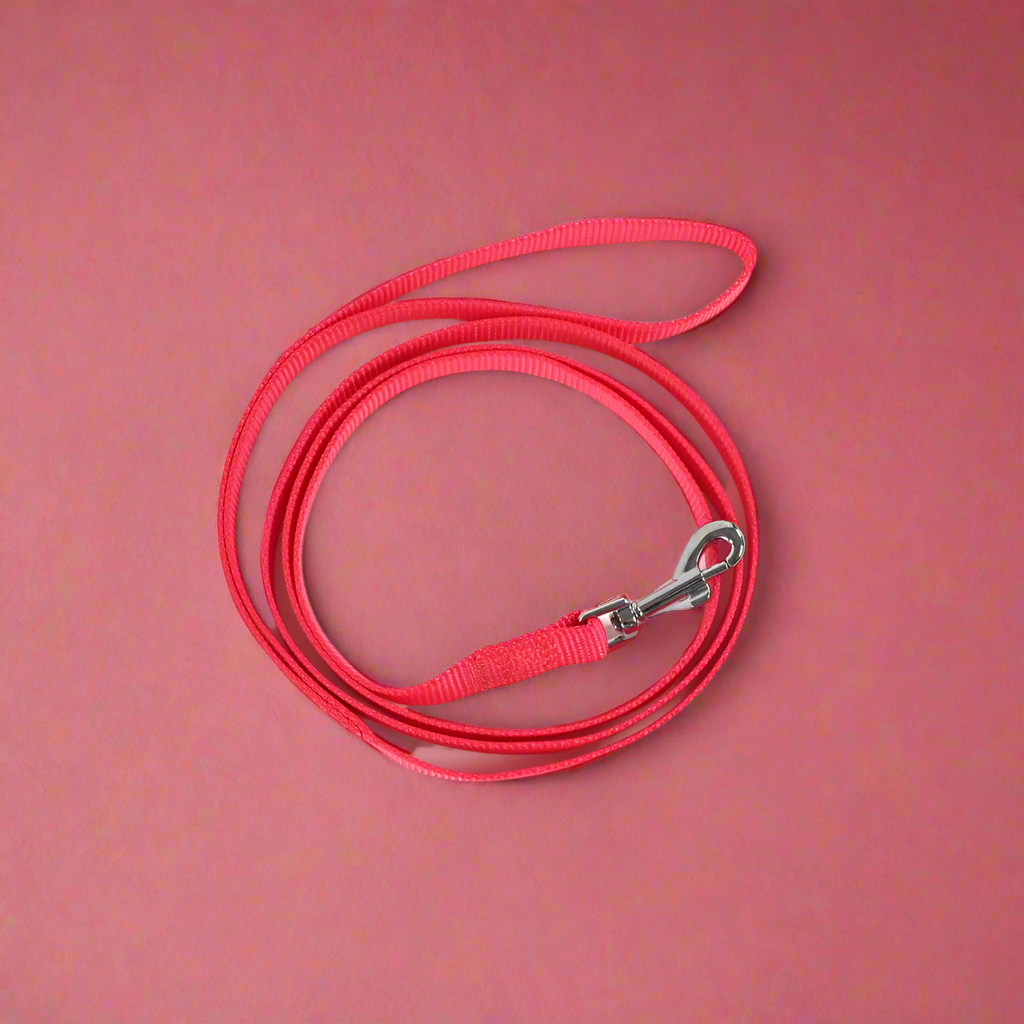 EasyStroll Leash Buckle