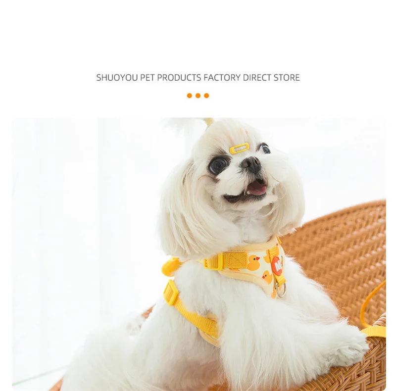 FurryStar Harness Set