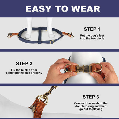 VentureTrail Personalized Reflective Harness