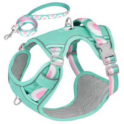 LuminaElite Reflective Dog Harness & Leash Set