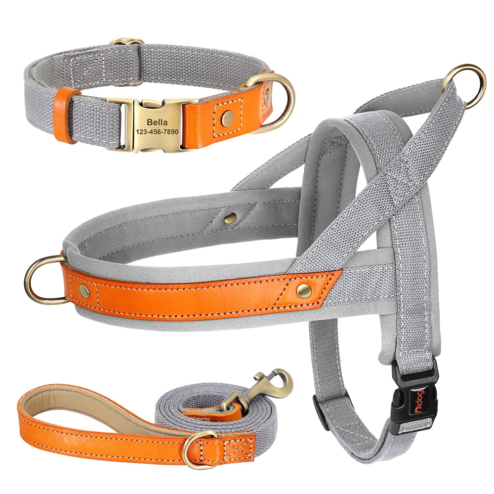 PawFit Nylon Collar, Harness & Leash Set