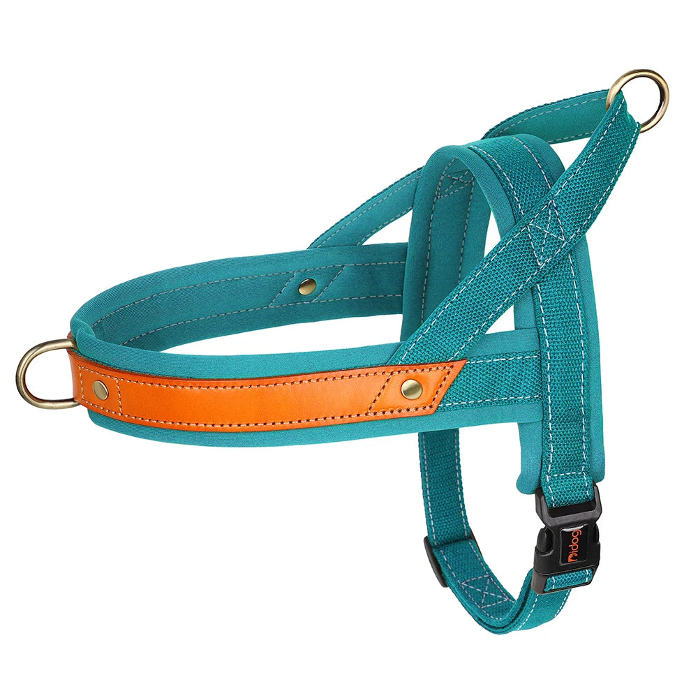 PawFit Nylon Collar, Harness & Leash Set