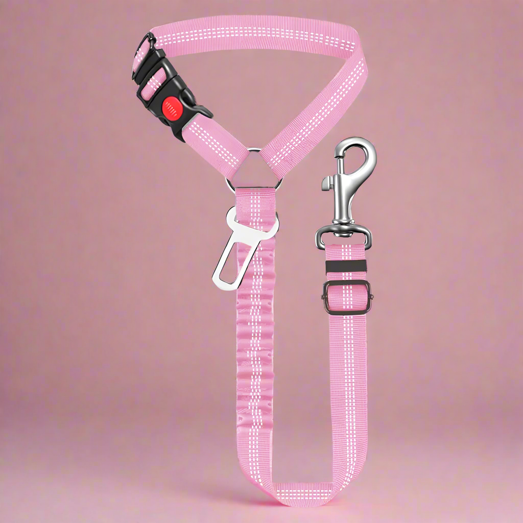 SafePawRide Leash