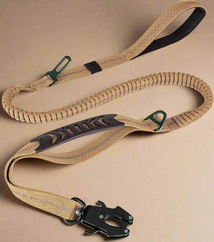 PowerPaw Heavy-Duty Leash