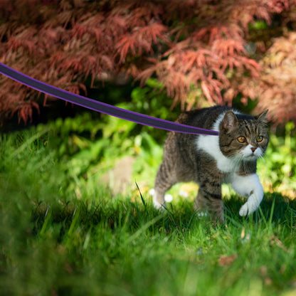 FlexiPaw Long Leash