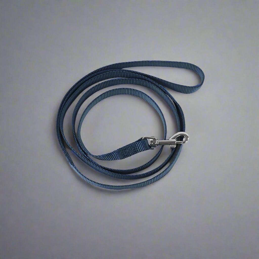 EasyStroll Leash Buckle