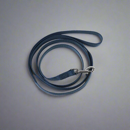 EasyStroll Leash Buckle